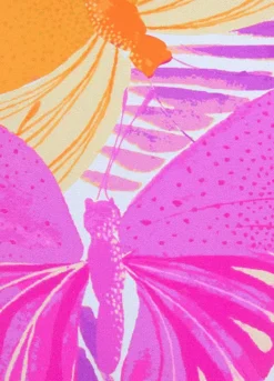 Sunseeker Butterfly Print Bikini Bottoms -Sunbeach Style Shop Sunseeker Butterfly Print Bikini Bottoms14417462FRSC W02